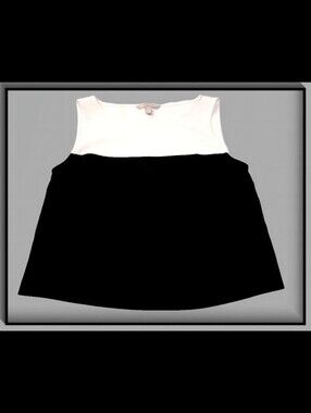 Banana Republic Color Block Sleeveless Top Black & Ivory